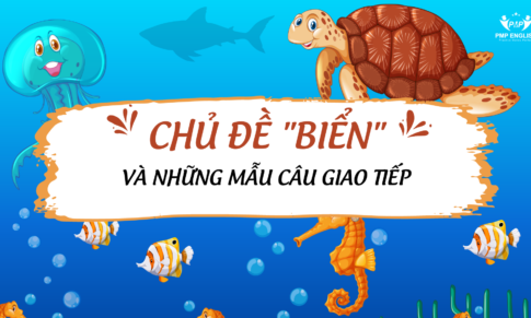 TỪ VỰNG CHỦ ĐỀ BIỂN VÀ NHỮNG MẪU CÂU GIAO TIẾP KHI  ĐẾN BIỂN